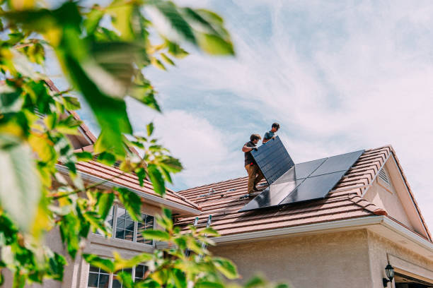 Best Roof Maintenance and Cleaning  in Union City, MI