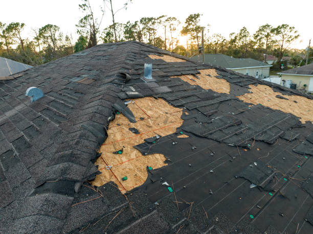 Best Roof Insulation Installation  in Union City, MI